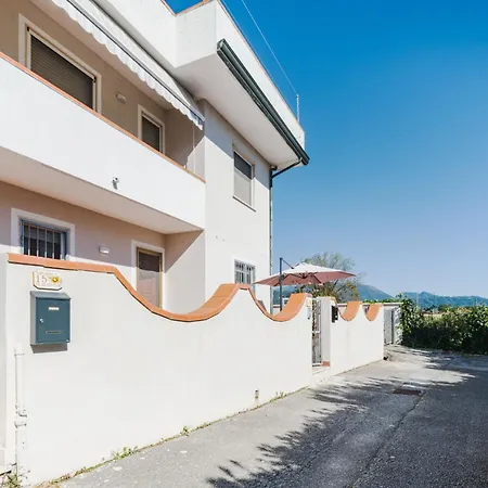 Sunflower Piano Terra By Interhome * Viareggio